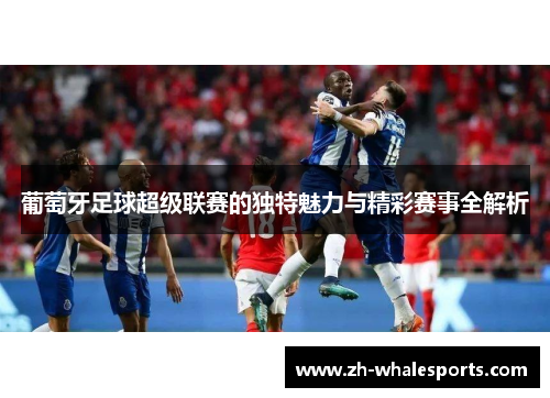 葡萄牙足球超级联赛的独特魅力与精彩赛事全解析