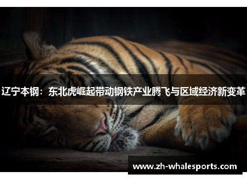 辽宁本钢：东北虎崛起带动钢铁产业腾飞与区域经济新变革